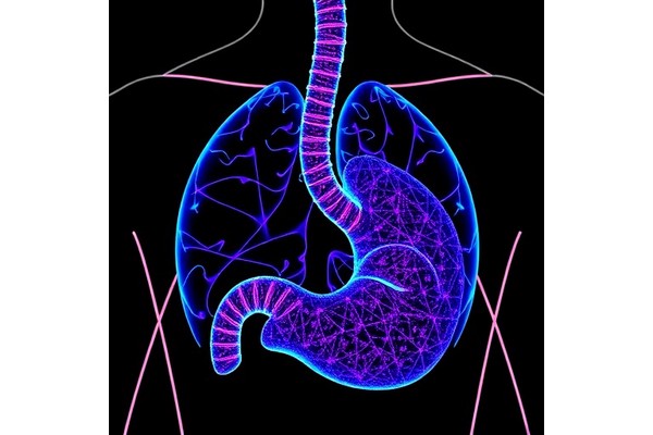 Machine Learning Uncovers Early Gastric Cancer Biomarkers