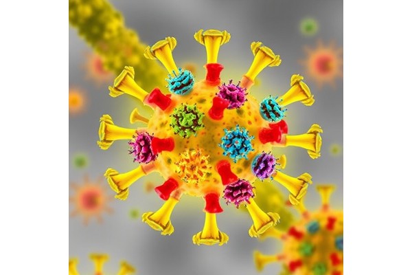 Genetic Diversity Shapes Toscana Virus Entry and Infectivity