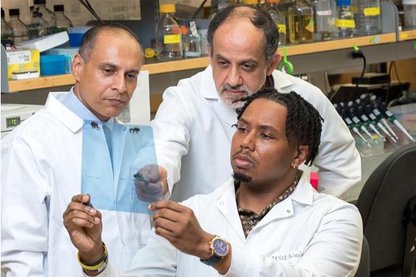 Targeted Approach Blocks Incurable Nerve Pain Induced by Chemotherapy
