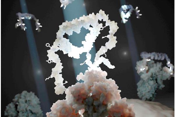 Ultra-Selective Aptamers Turn the Tables on Viruses