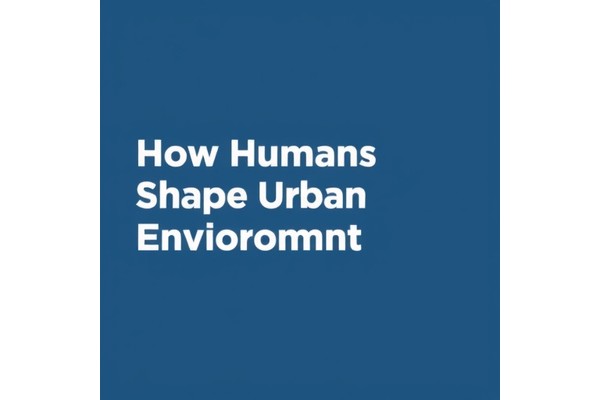 How Humans Shape Urban Environments
