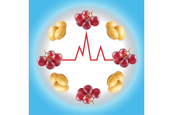 Study Finds Blood Sugar Responses to Different Carbohydrates Reveal Metabolic Health Subtypes
