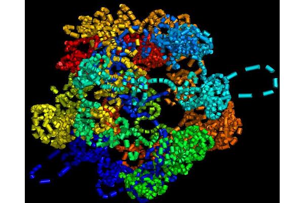 Breakthrough AI Unveils 3D Single-Cell Chromosome Architecture