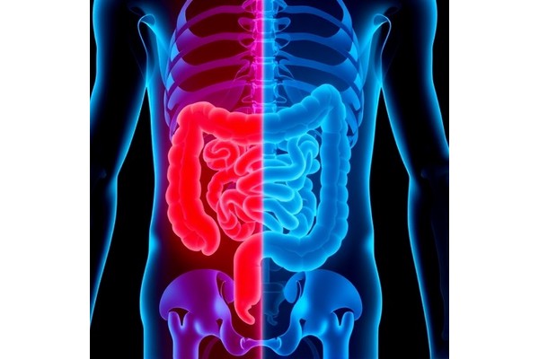Cutting-Edge Colorectal Cancer Screening: Pros and Cons