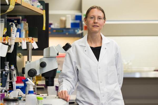 Rice University-Led Team Explores Mitochondrial Targets for Innovative Leukemia Treatments