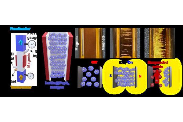 KIST Unveils Advanced Materials for Revolutionary Water Treatment Solutions