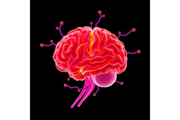 Humanized Monovalent Antibody Therapy Tackles NMDA Encephalitis