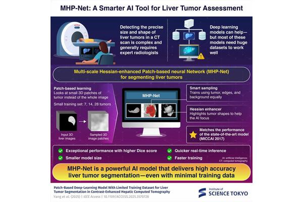 Introducing MHP-Net: A Groundbreaking AI Model Enhancing Liver Tumor Segmentation for Improved Diagnosis and Treatment