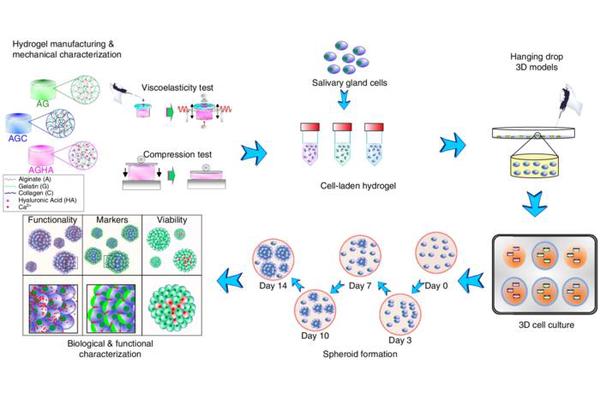 Breakthrough Hydrogel Technology Promises New Hope for Dry Mouth Treatment
