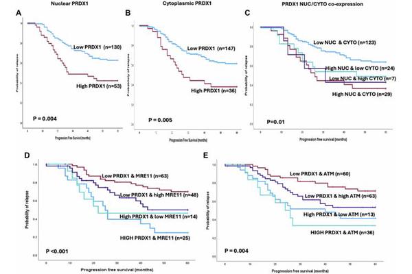Inhibiting PRDX1 Protein Could Enhance Chemotherapy Effectiveness in Ovarian Cancer