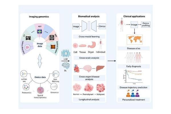 AI-Powered Precision Medicine Ushering in a New Era of Cross-Modal Imaging Genomics