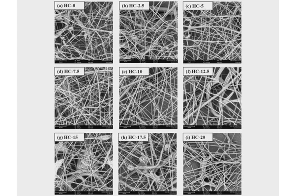 Revolutionary Edible and Biodegradable Fibers Created from Milk Protein and Cellulose