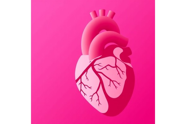 Infantile Hypertrophic Cardiomyopathy: Toward Evidence-Based Genetic Testing