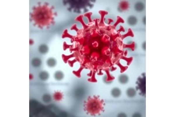 Oncolytic Viruses Trigger Hyperacute Cancer Rejection