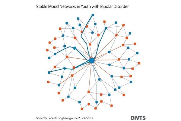 Stable Mood Networks in Youth with Bipolar Disorder