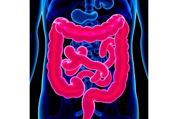 Triple Therapy Significantly Enhances Survival in BRAF V600E-Mutated Metastatic Colorectal Cancer, ASCO Reports