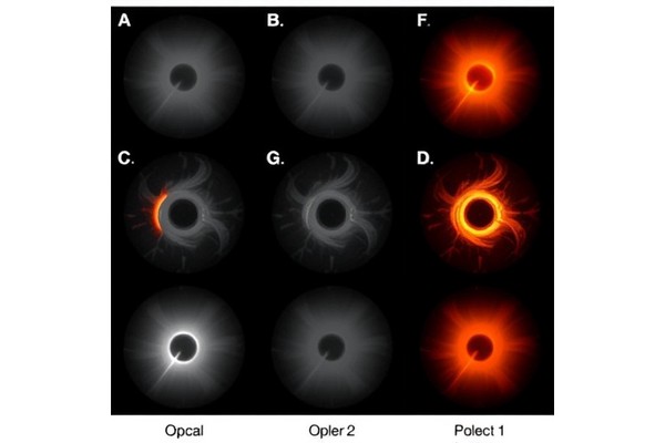 Diverse OPA1 Mutation Effects in Dominant Optic Atrophy
