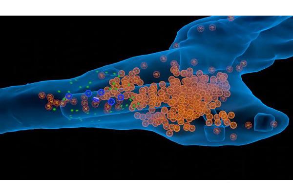 New Vesicle Cycle Model Uncovers the Intricate Mechanisms of Brain Synapses