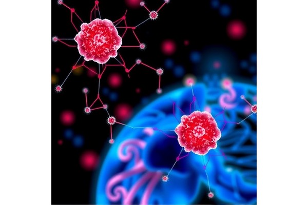 Cross-Tissue Coordination and Its Cancer Rewiring