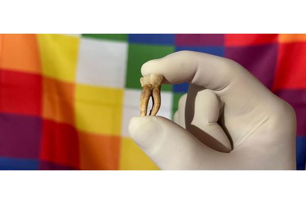 Unveiling the History of Leprosy in the Americas: New Revelations