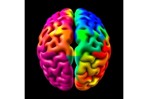 Sex and Region Shape Striatal Gene Expression in Psychosis