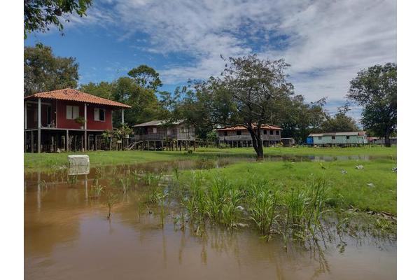 How anacondas, chickens, and locals might coexist in the Amazon: When a cluck draws her near, chicken becomes her favorite dish