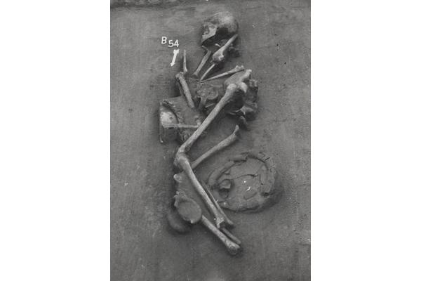 Bronze Age Breakthrough: Dietary Shifts Spark Major Societal Transformation