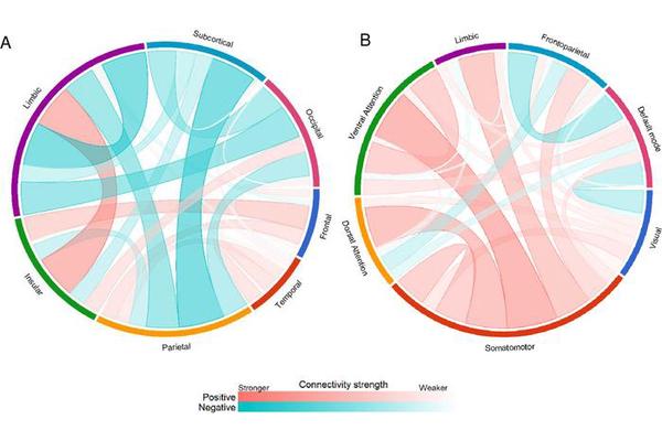 Brain Connectivity Changes Across Lifespan May Explain Decline in Social Interaction with Age