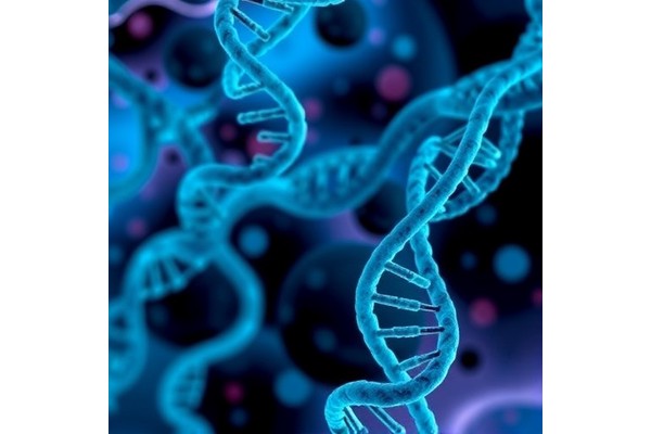 Rare Genetic Disorder Raises Cancer Risk by Blocking Repair of Chemo-Damaged DNA