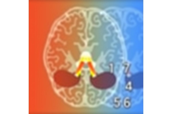 Brain Metastases Re-Resection: Outcomes Revealed