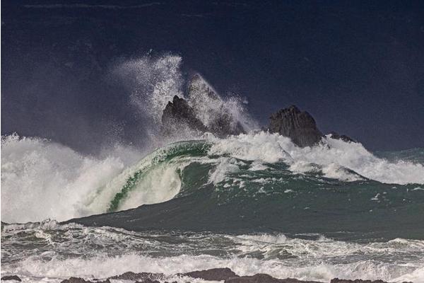 From Challenges to Commitment: Meet the Scientist Whose Passion for the Ocean Drives Breakthrough Discoveries