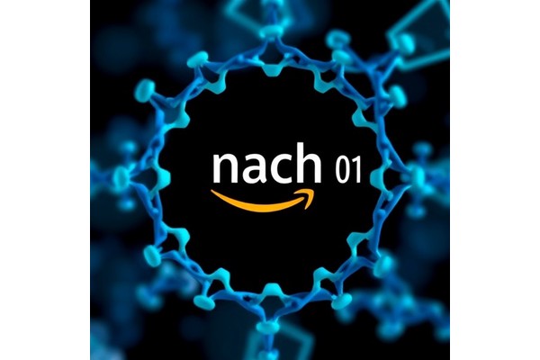 Insilico Medicine Unveils Nach01 Foundation Model on AWS Marketplace to Accelerate Advances in Generative Chemistry