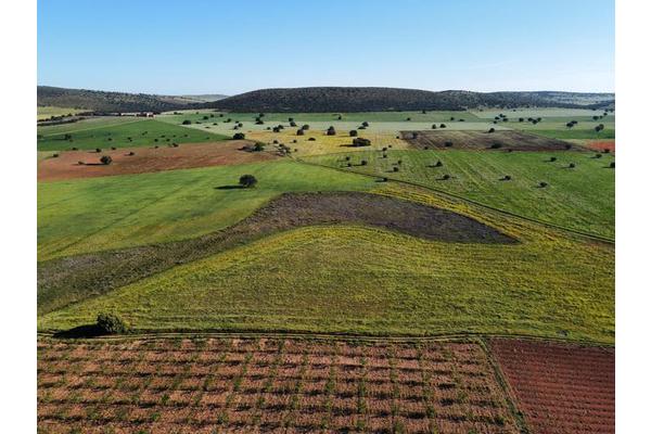 Scientists Develop Innovative Blueprint Merging Rewilding and Agriculture to Combat Biodiversity Crisis