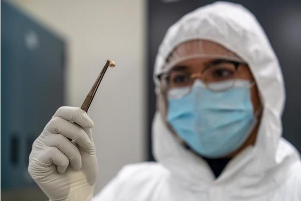 How a Single Gene Evolution Enabled the Plague’s Deadly Reign—and Its Eventual Decline