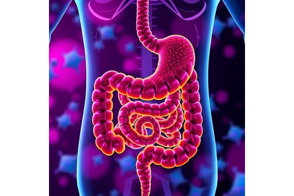 Gut Microbiota’s Role in Immune Side Effects