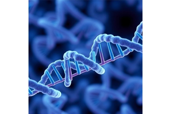 RNA Therapeutics: Unlocking Healthy Aging Potential