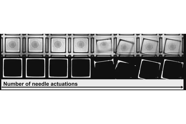 “New ‘Claw Machine’ Technology Enables Rapid and Efficient Sorting of Hundreds of Embryo Models”