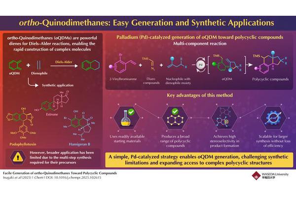 Direct Synthesis of Complex Molecules via Ortho-Quinodimethanes in a Single Step
