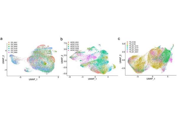 Decoding Tumor Diversity: Quantitative Breakthroughs from Single-Cell RNA Sequencing in Breast Cancer Subtypes