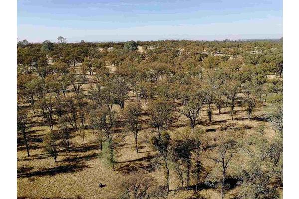 Consistent Ecosystem, Distinct Solutions