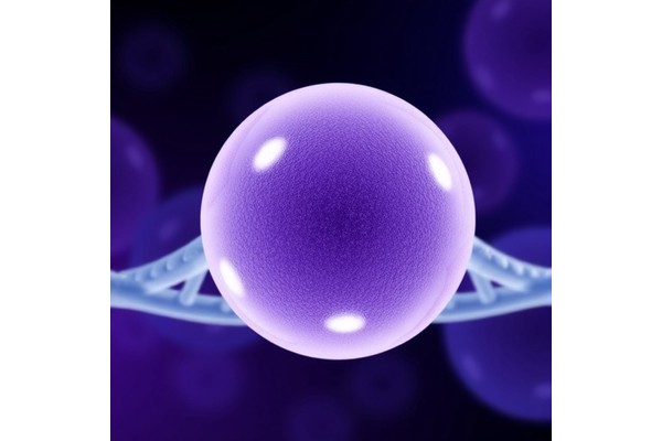 Predicting Tamoxifen Success: Genes and Survival