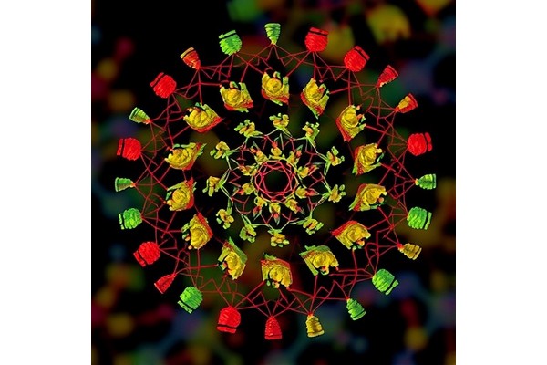 Unlocking Small-Molecule Mass Spectrometry with Self-Supervised Learning
