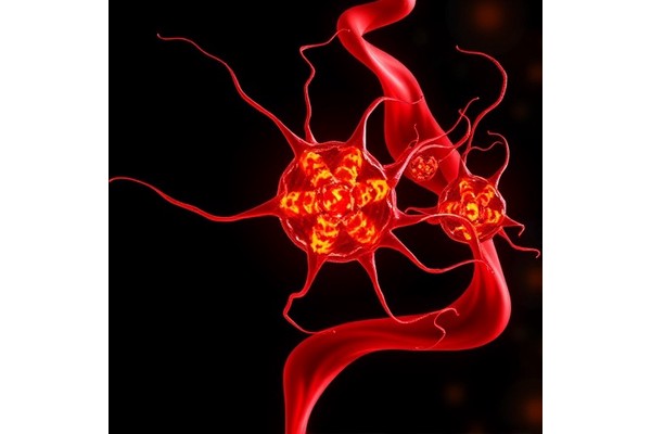 NAT10 Blocks Laryngeal Cancer Cell Pyroptosis