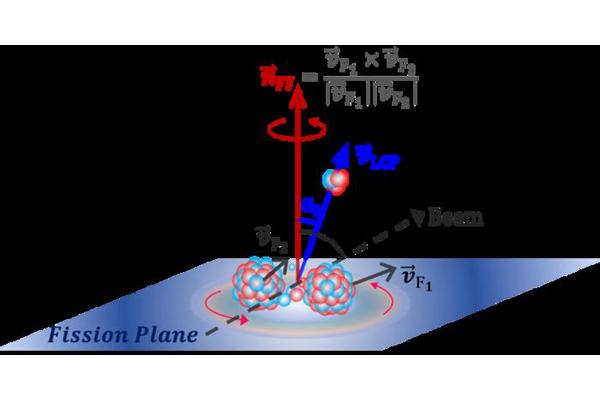 Isospin Migration in Rapidly Spinning Heavy Ion Collisions Unveiled