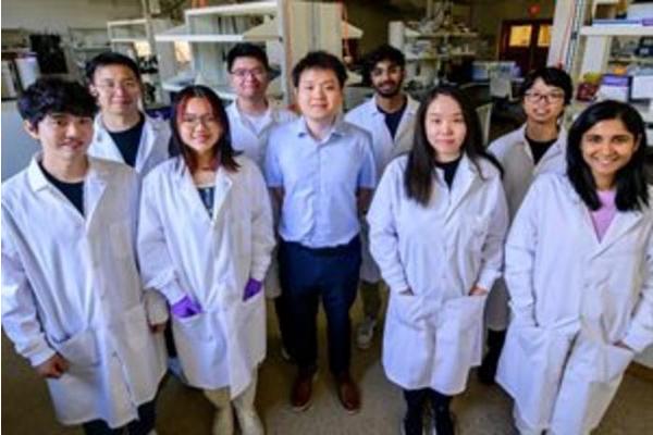 Innovative Chemical Engineering Breakthrough Enhances Precision in Targeted Drug Delivery