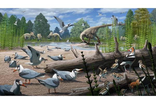Study Reveals Birds Nested in the Arctic During the Age of Dinosaurs