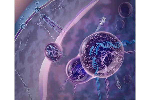 New Discoveries Unveil How Cells Tackle Complex DNA Repair and Safeguard the Genome Using Protein Droplets