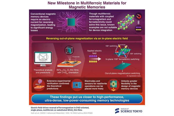Unlocking the Complete Power of Multiferroic Materials for Next-Generation Magnetic Memory Devices