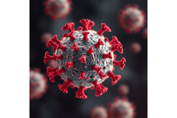 Influenza A NS1 Inhibits Gene Expression via Transcription