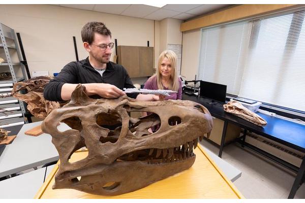 University of Calgary Paleontologists Discover Closest Known Ancestor of Tyrannosaurs